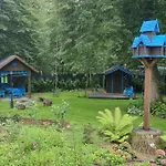Niezapominajka *