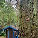 Niezapominajka Сasa de vacaciones *