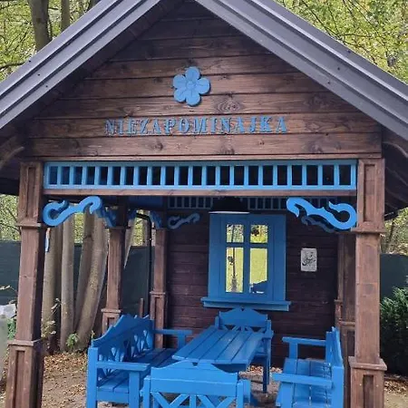 بيت للعطل Niezapominajka *