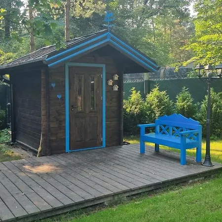 Niezapominajka