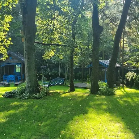 Niezapominajka Janowek Pierwszy