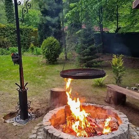 Niezapominajka * Janowek Pierwszy