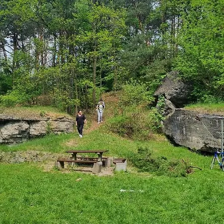 Niezapominajka *