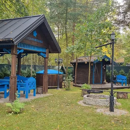 Niezapominajka