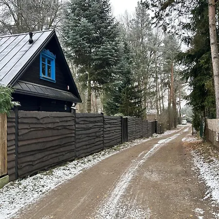 Niezapominajka *