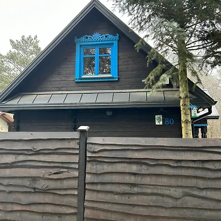 Niezapominajka