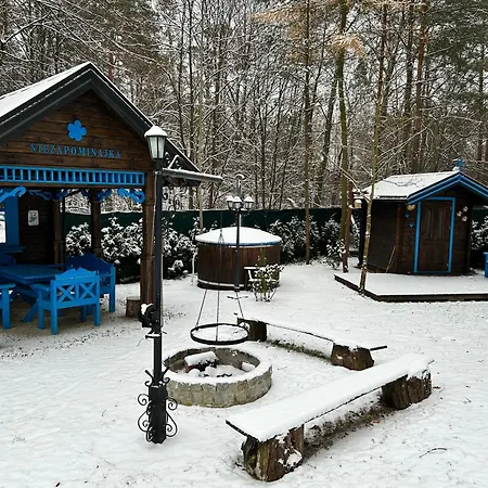 Niezapominajka
