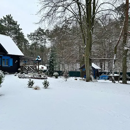 Niezapominajka Сasa de vacaciones