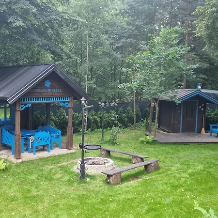 Niezapominajka