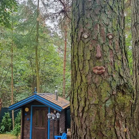Niezapominajka Feriehus *