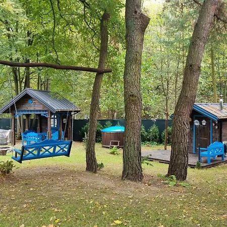 Niezapominajka