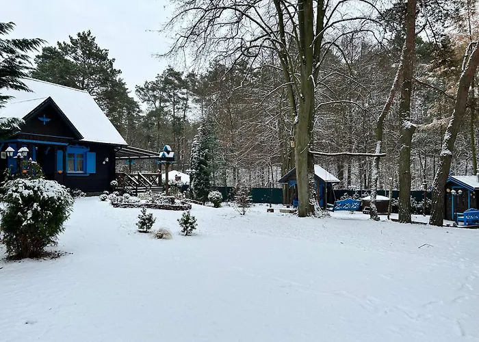 Niezapominajka Holiday home